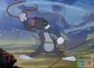 Tom si Jerry