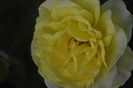 _DSC0157