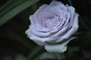 _DSC0070