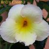 IMG-20210610-WA0025