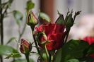 _DSC0813