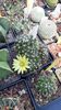 IMG-20210609-WA0037