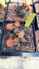 IMG-20210609-WA0030