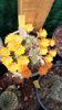 IMG-20210609-WA0026