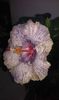 4A2B651C-D748-48F5-A9F5-08C500DE883C