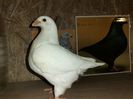 IMG-20210615-WA0001