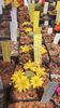 IMG-20210616-WA0019