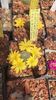 IMG-20210616-WA0020