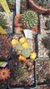 IMG-20210616-WA0011