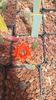 IMG-20210616-WA0005