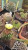 IMG-20210616-WA0004