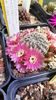 IMG-20210611-WA0028