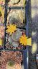 IMG-20210611-WA0018