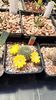 IMG-20210611-WA0021