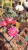 IMG-20210611-WA0012