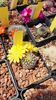 IMG-20210611-WA0009