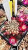 IMG-20210611-WA0024