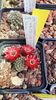 IMG-20210611-WA0022