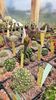 IMG-20210611-WA0014