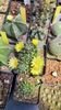 IMG-20210611-WA0016