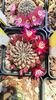 IMG-20210611-WA0006