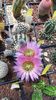 IMG-20210610-WA0037
