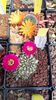 IMG-20210610-WA0026