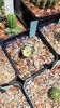 IMG-20210610-WA0024