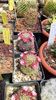 IMG-20210610-WA0021