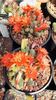 IMG-20210610-WA0023