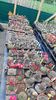 IMG-20210615-WA0026