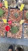 IMG-20210615-WA0021