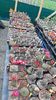 IMG-20210615-WA0015