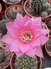 IMG-20210612-WA0000