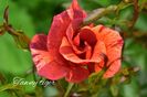 AddText_06-18-02.38.12
