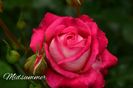 AddText_06-18-02.36.56