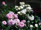 Summer romance Stephanie Baronin