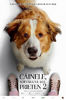 A Dog's Journey (2019) vazut de mine