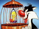 Cartoon-34