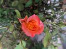 1F3729DB-40E5-4CF6-AE5B-33ED2CF58837