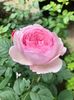 7718F3DB-961E-4F6D-A054-E1FE6C31F384