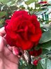 60D57D54-80EC-4A6B-9EC3-9D6A5B2963C5