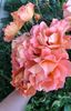 46330880-9D52-423B-830C-74E335BC42DC
