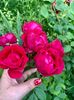 A19F18CF-0554-4460-9871-0484180091CF
