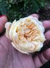182367BA-EF32-49F7-BD34-E091CDC1C021