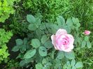 72D254CC-A1D5-4970-BE75-2A7F4008182A