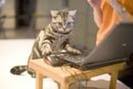 images[14]