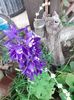 IMG-20210621-WA0000