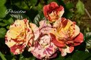 AddText_06-23-02.38.23