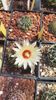 IMG-20210616-WA0030